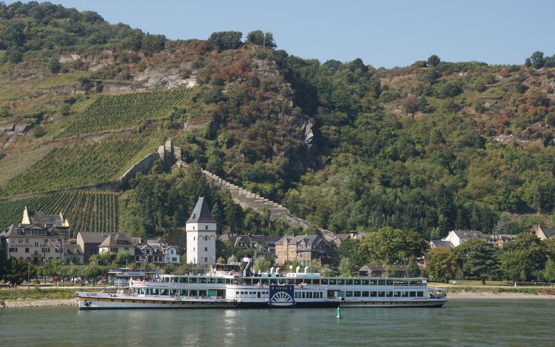 ALSAZIA, FORESTA NERA E VALLE DEL RENO